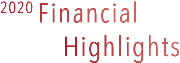 2020 Financial Highlights