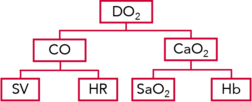 Oxygen delivery graph